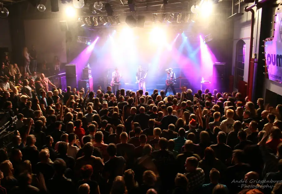 punk reggae metal concert crowd