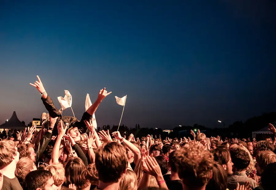music festival crowd rock